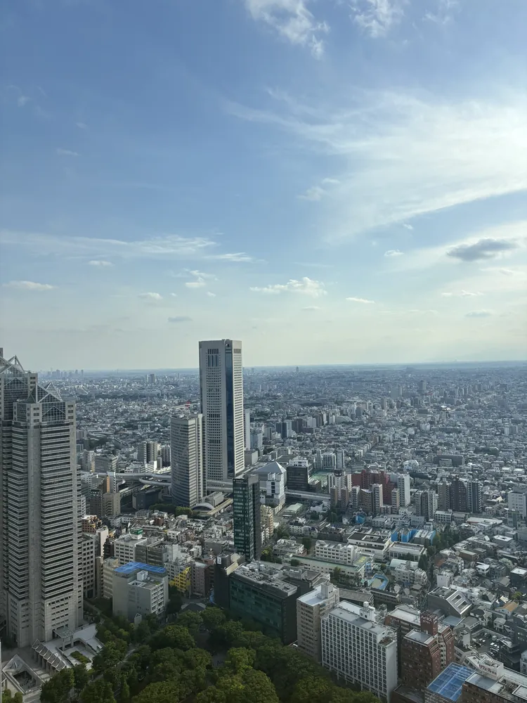 The Tokyo skyline